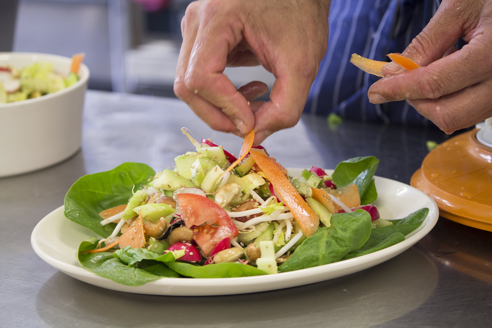 Een bord wordt mooi opgemaakt met een veelkleurige salade met wortel, tomaat, groene sla en kiemen en noten